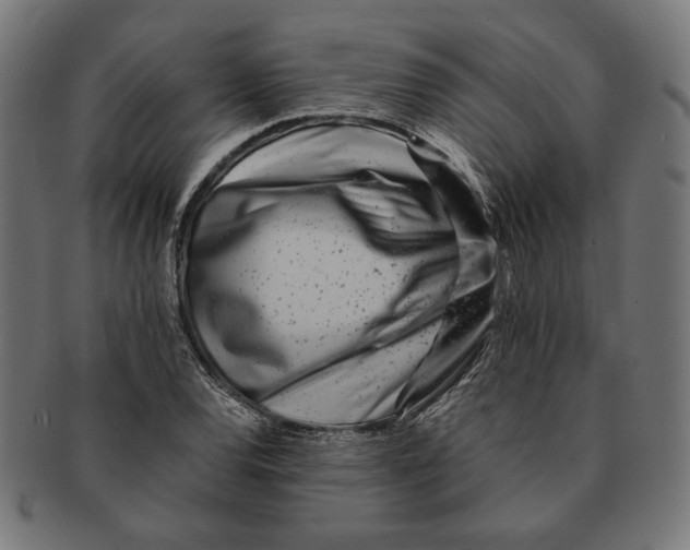 X0000091221120200709061454