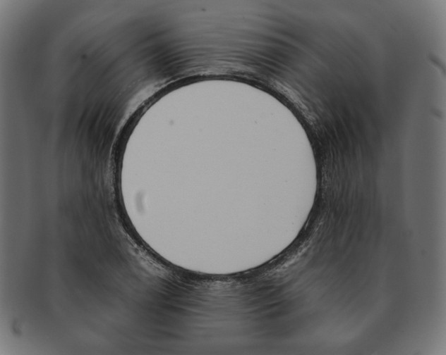 X0000091221122200709061454