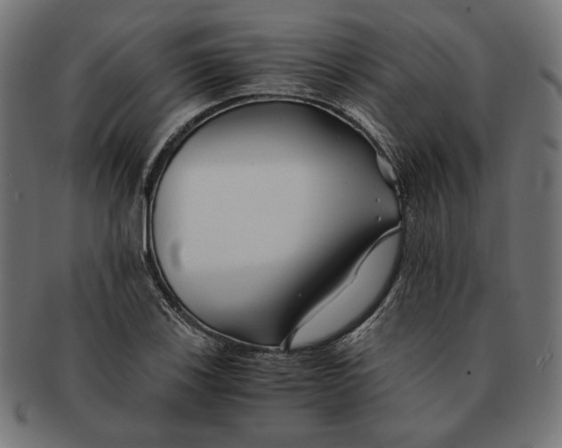 X0000091221123200709061454