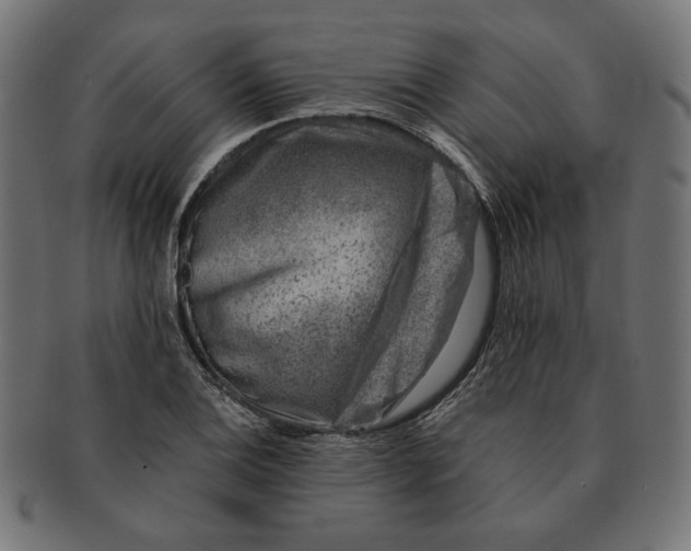 X0000091221124200709061454