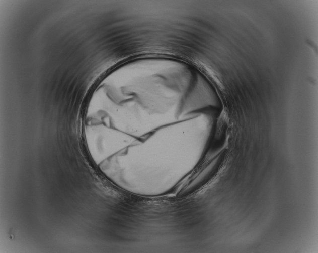 X0000091221125200709061454