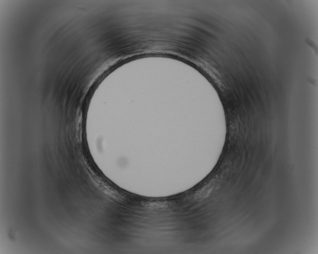 X0000091221126200709061454