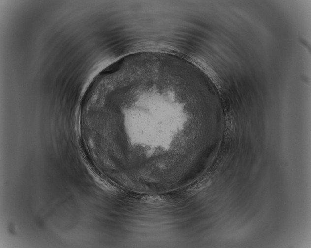 X0000091221128200709061454