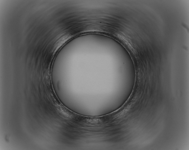 X0000091221129200709061454