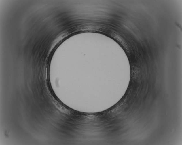 X0000091221130200709061454