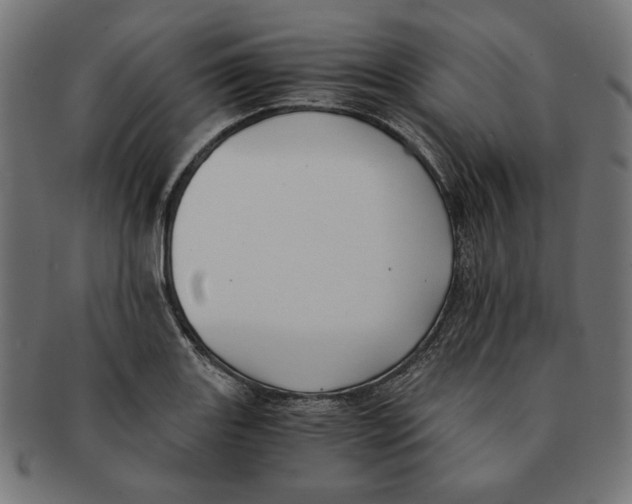 X0000091221131200709061454