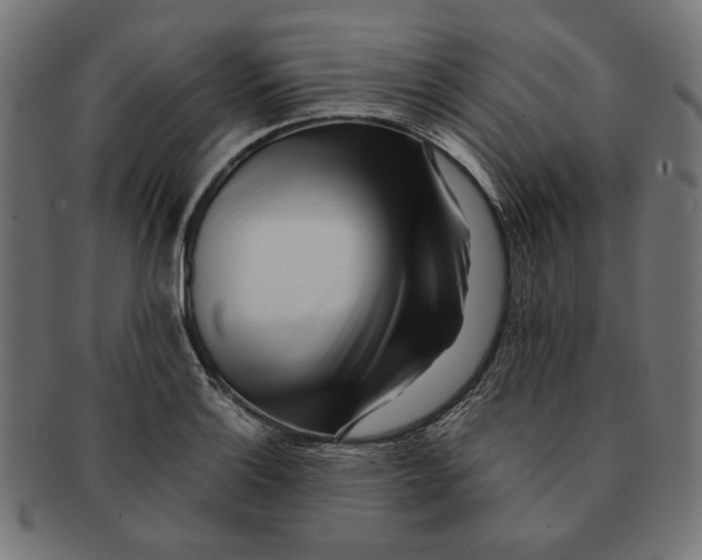 X0000091221132200709061454