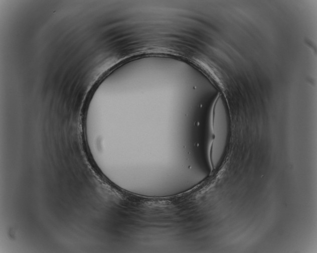 X0000091221133200709061454