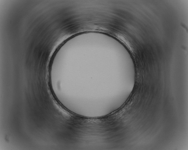 X0000091221136200709061454