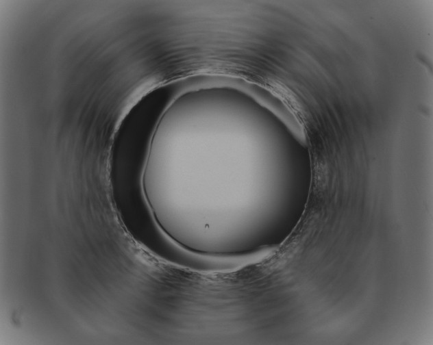 X0000091221138200709061454