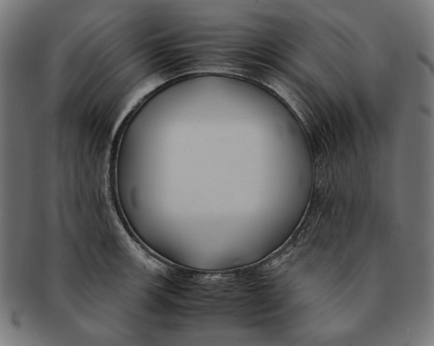 X0000091221139200709061454