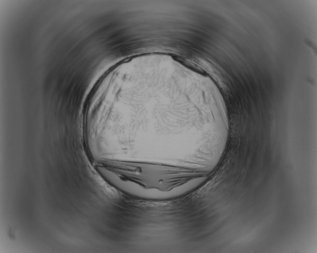 X0000091221140200709061454