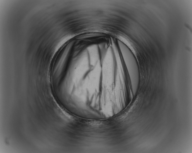 X0000091221141200709061454