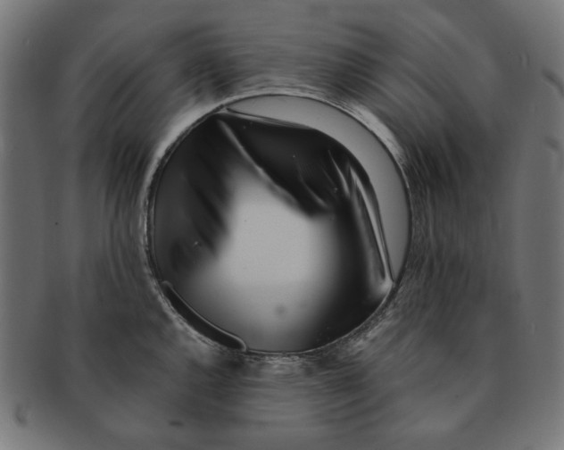 X0000091221144200709061454