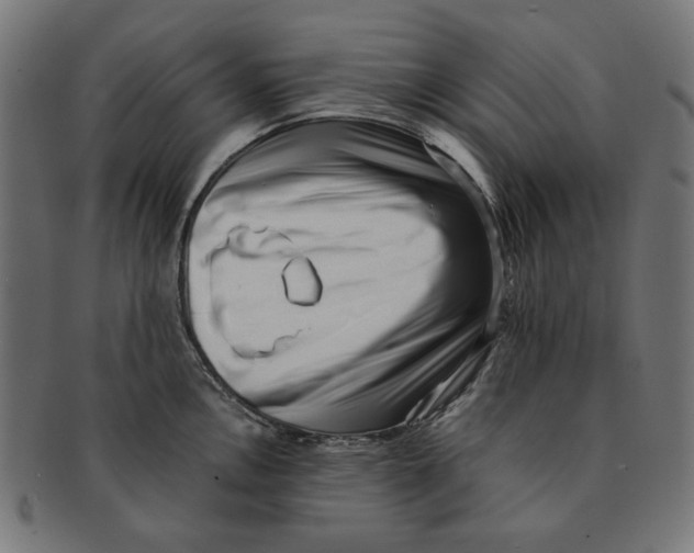 X0000091221146200709061454