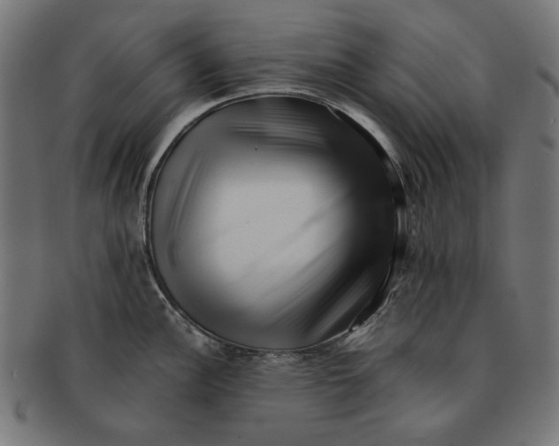 X0000091221148200709061454