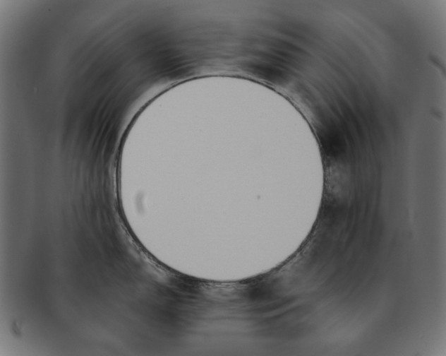 X0000091221150200709061454