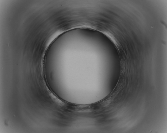 X0000091221151200709061454