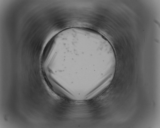 X0000091221152200709061454