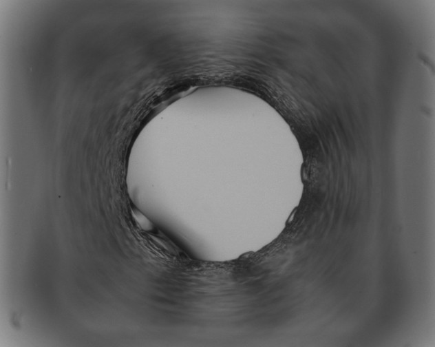 X0000091221153200709061454