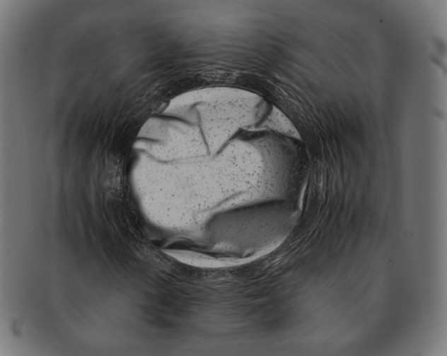 X0000091221154200709061454