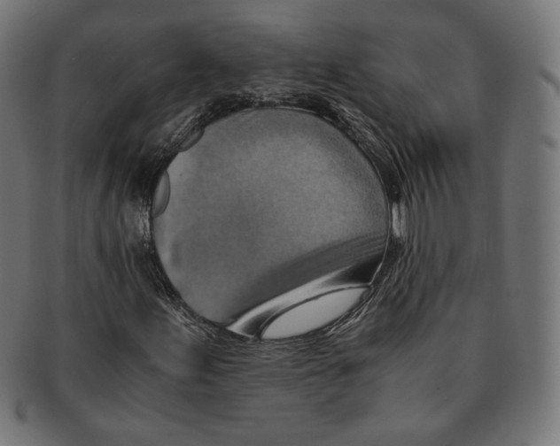 X0000091221155200709061454