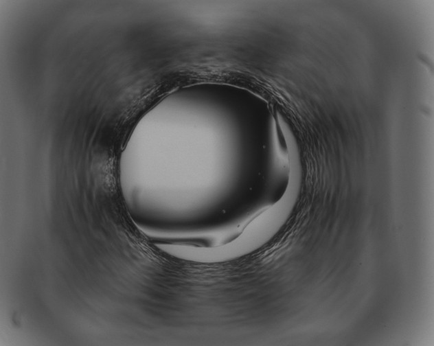 X0000091221156200709061454