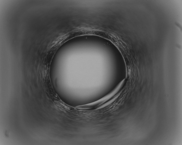 X0000091221157200709061454