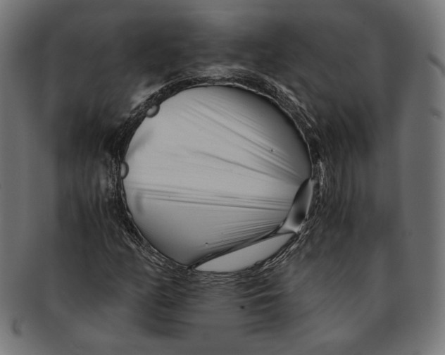 X0000091221158200709061454