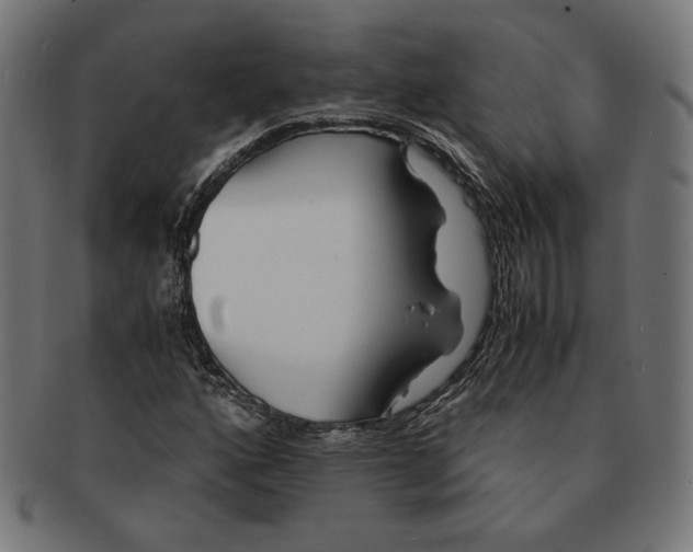 X0000091221160200709061454