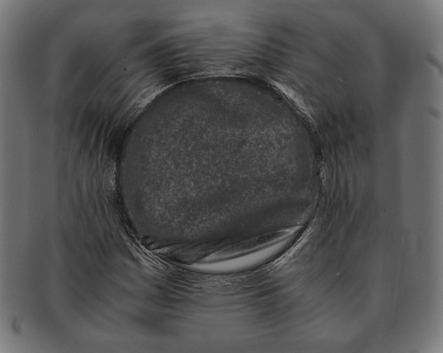 X0000091221161200709061454