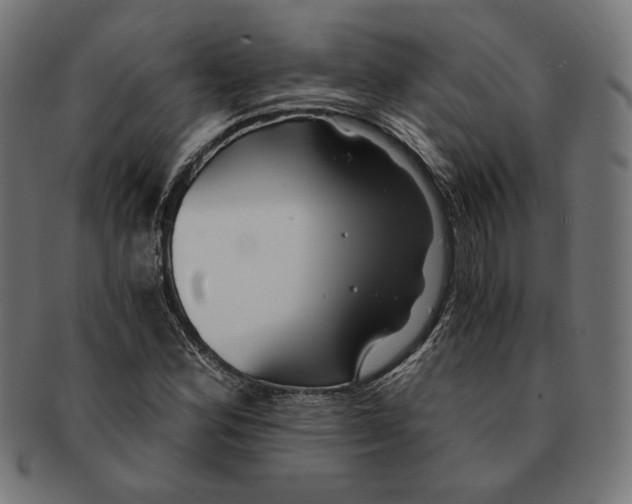 X0000091221164200709061454