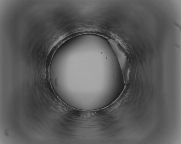 X0000091221165200709061454