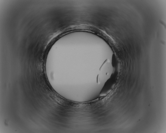 X0000091221166200709061453