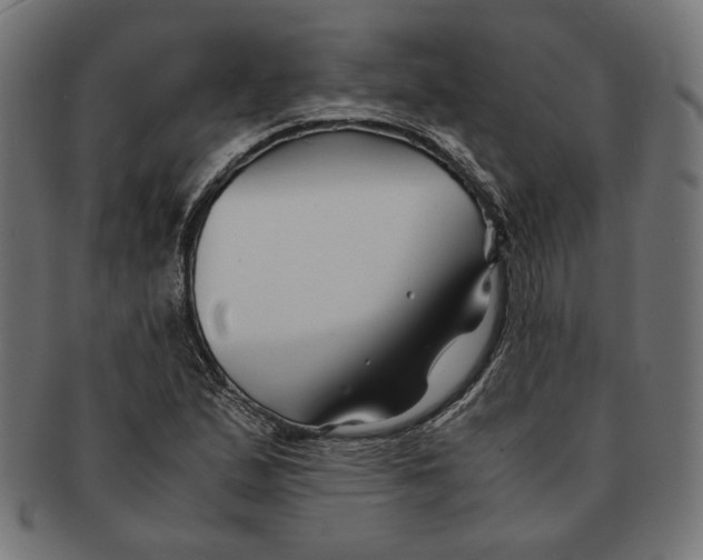 X0000091221167200709061453