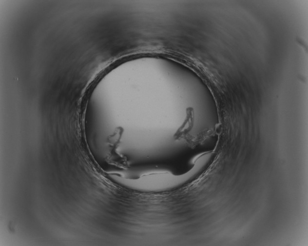 X0000091221168200709061453