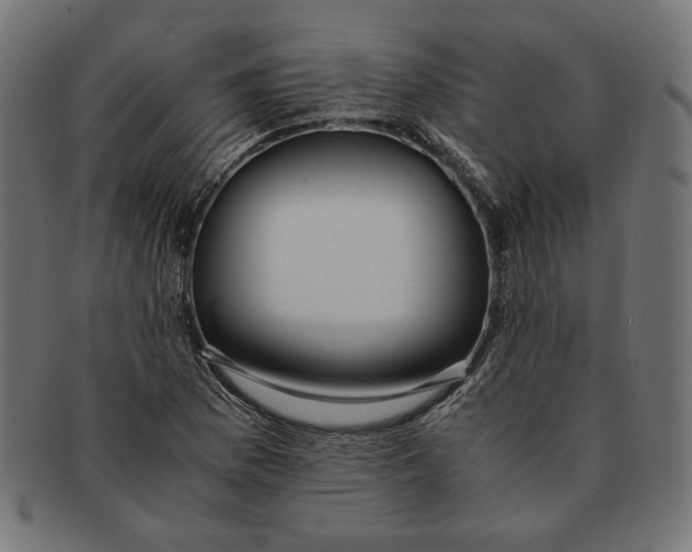 X0000091221169200709061453