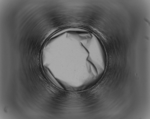 X0000091221170200709061453