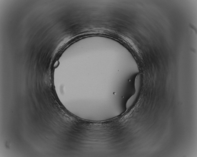 X0000091221172200709061453