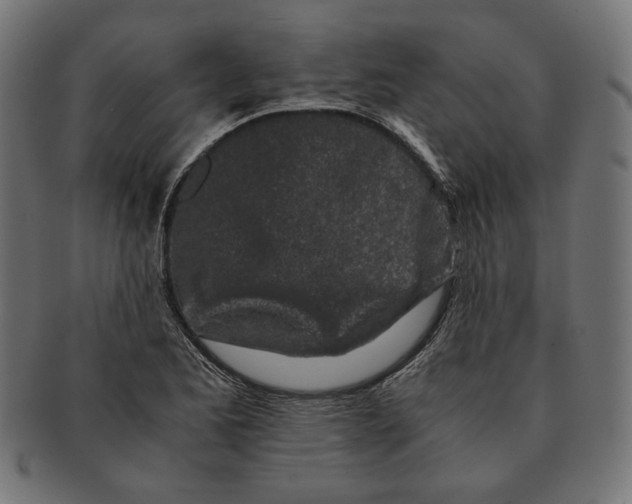 X0000091221173200709061453