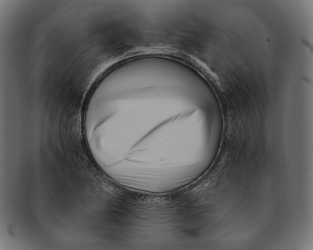 X0000091221174200709061453