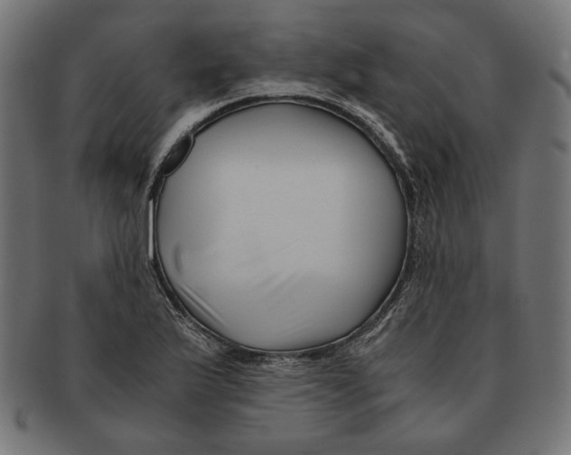 X0000091221175200709061453