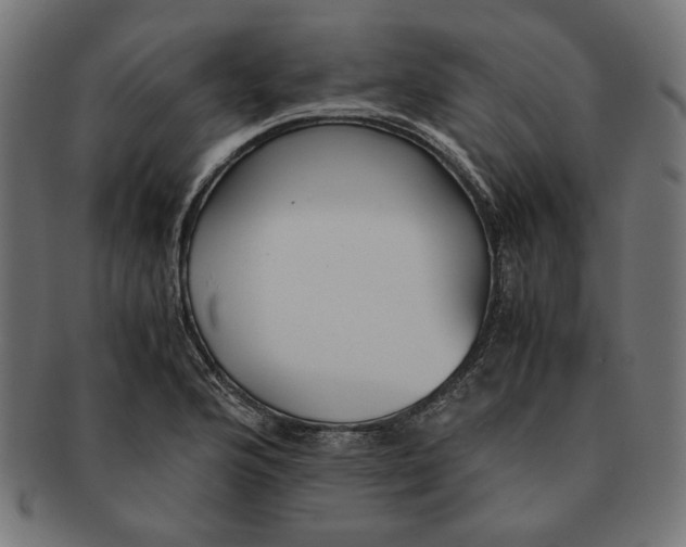 X0000091221176200709061453