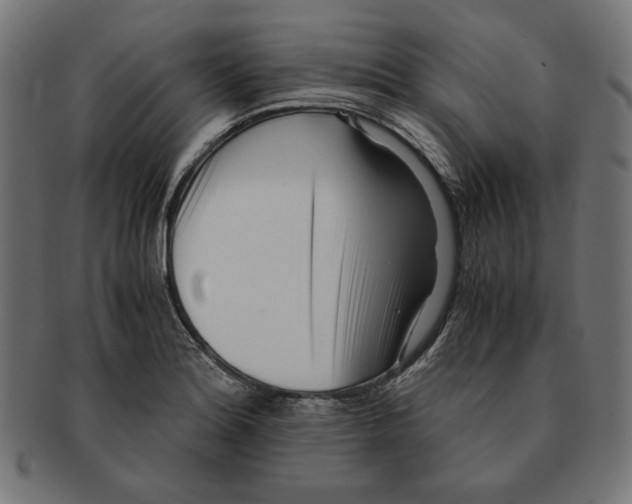 X0000091221180200709061453