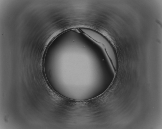 X0000091221181200709061453