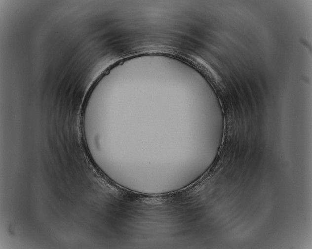 X0000091221182200709061453