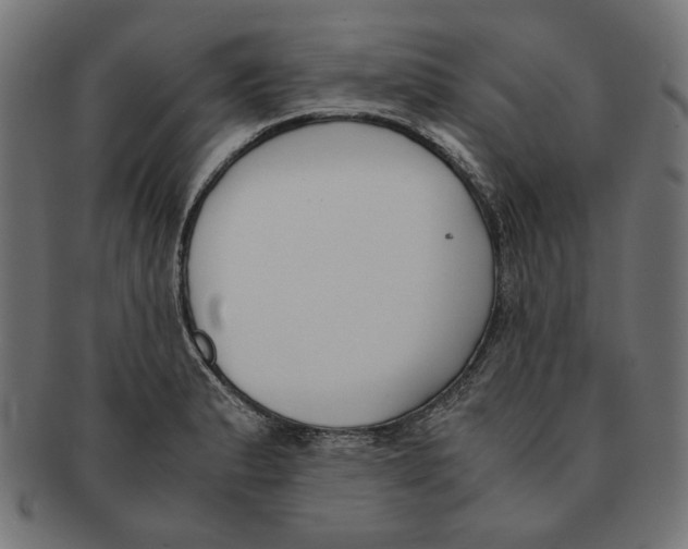 X0000091221183200709061453