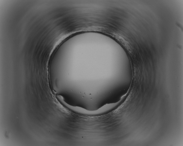 X0000091221184200709061453