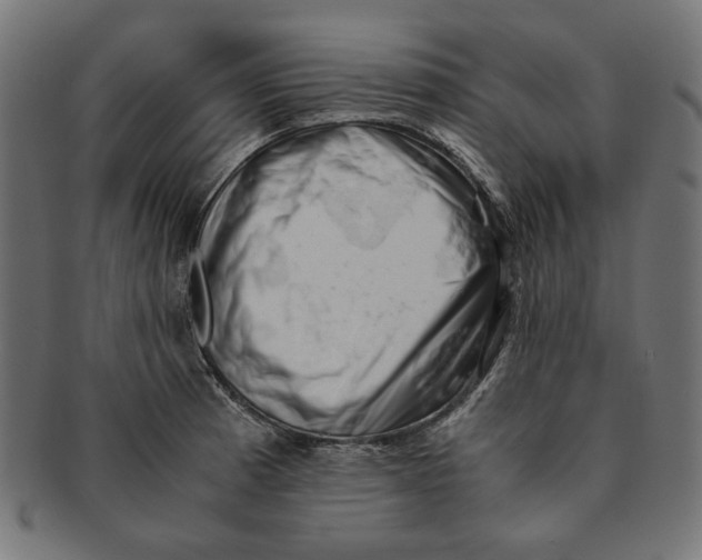 X0000091221185200709061453