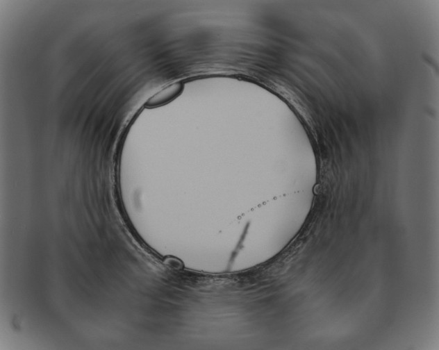 X0000091221187200709061453